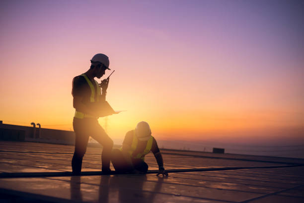 Best Roof Gutter Cleaning  in Dexter, NM