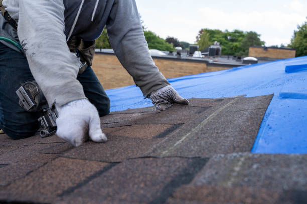 Best Commercial Roofing Services  in Dexter, NM